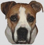 American Bulldog 2 (image for) American Bulldog 2